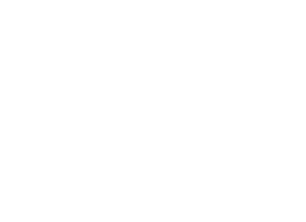 deniz-investment-logo